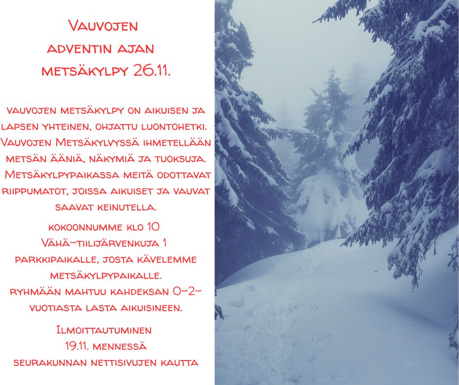 Vauvojen adventin ajan metsäkylpy torstaina 26.11.